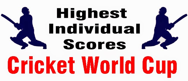 highest individual score in cricket world cup history