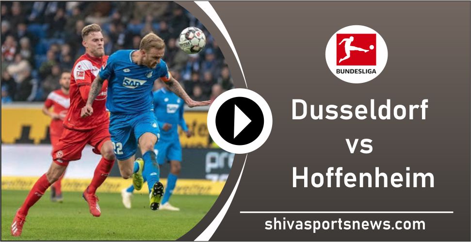 Dusseldorf vs Hoffenheim bundesliga football match