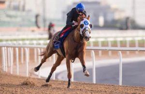 Full Broadcaster List Who Shown 2021 Dubai World cup Live Anywhere