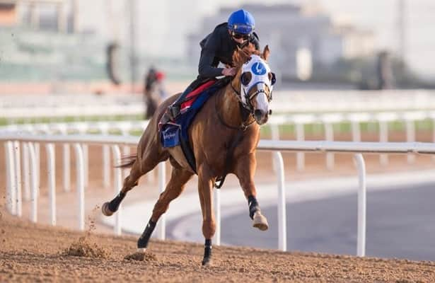 dubai world cup