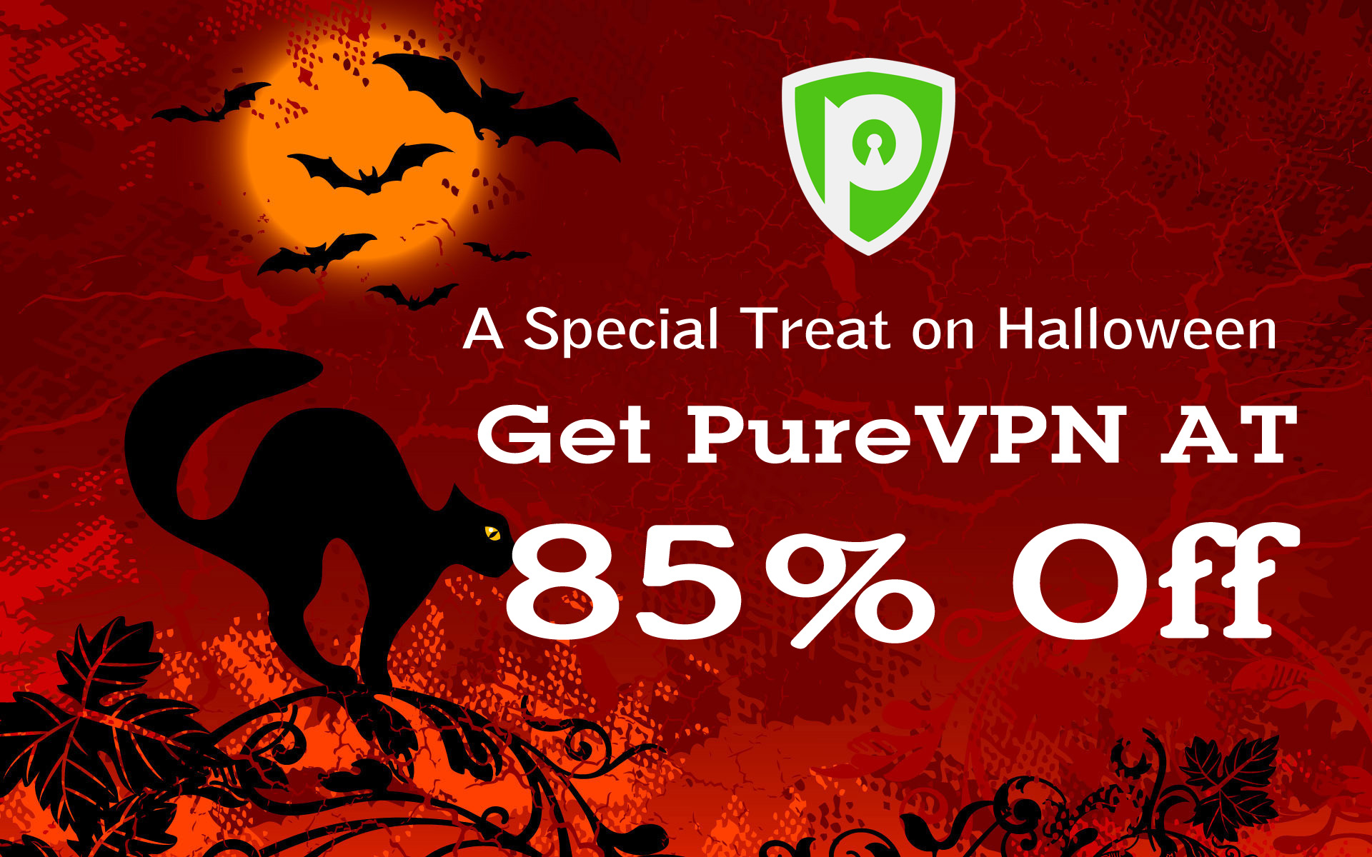 purevpn best deal